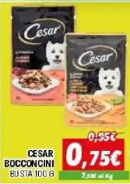 Orizzonte CESAR BOCCONCINI offerta