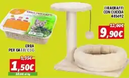 Orizzonte ERBA PER GATTI offerta