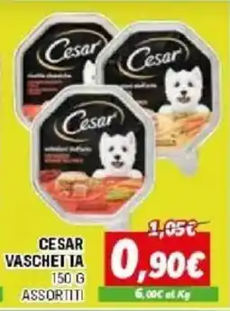 Orizzonte CESAR VASCHETTA offerta