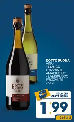 SeBón Supermercati BOTTE BUONA LAMBRUSCO FRIZZANTE offerta