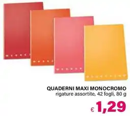 Il Gigante QUADERNI MAXI MONOCROMO offerta