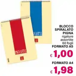 Il Gigante Blocco spiralato Pigna offerta