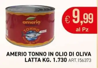 Amerio Tonno in Olio di Oliva
