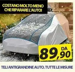Hobby e Legno TELI ANTIGRANDINE AUTO offerta