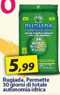 Hobby e Legno Rugiada offerta