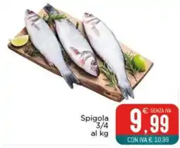 Altasfera Spigola offerta