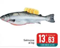 Altasfera Salmone offerta
