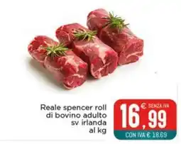 Altasfera Reale spencer roll di bovino adulto sv irlanda offerta
