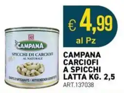 PGS Cash&Carry CAMPANA CARCIOFI A SPICCHI offerta
