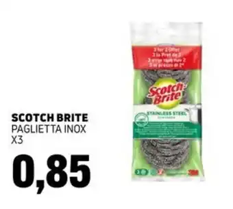 SCOTCH BRITE PAGLIETTA INOX
