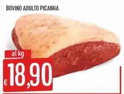 IperSisa BOVINO ADULTO PICANHA offerta