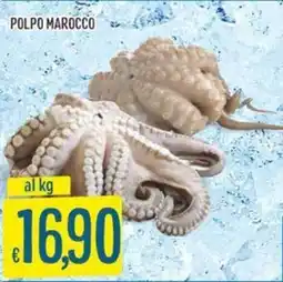 IperSisa POLPO MAROCCO offerta