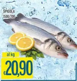 IperSisa SPIGOLA offerta
