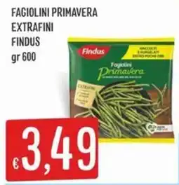 IperSisa Fagiolini Primavera Extrafini Findus offerta