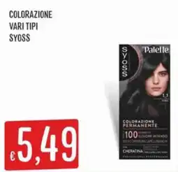 IperSisa Palette SYOSS offerta