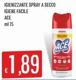 IperSisa Igienizzante spray a secco ACE offerta