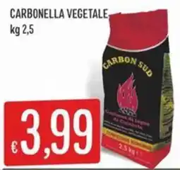 IperSisa Carbonella vegetale Carbon Sud offerta