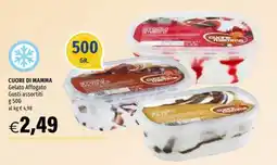 Hurrà Cuore di Mamma Gelato Affogato offerta