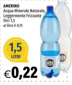 Hurrà Amerino Acqua Minerale Naturale Leggermente Frizzante offerta