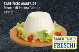 Hurrà Ricotta di Pecora Gentile offerta