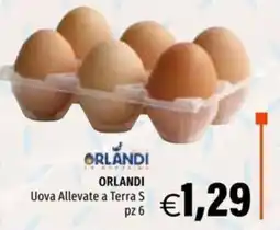 Hurrà ORLANDI Uova Allevate a Terra S offerta