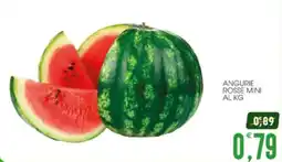 SpesAmica Angurie Rosse Mini offerta
