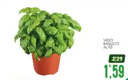 SpesAmica VASO BASILICO offerta