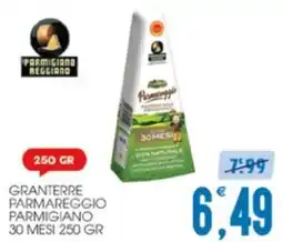 SpesAmica GRANTERRE PARMAREGGIO PARMIGIANO offerta