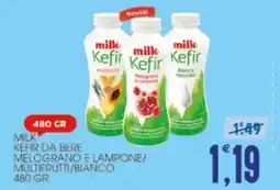 SpesAmica milk Kefir offerta