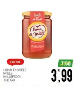 SpesAmica Luna di Miele Miele Millefiori offerta