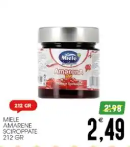 SpesAmica Miele Amarene Sciroppate offerta