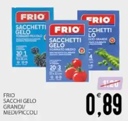 SpesAmica Frio Sacchetti Gelo offerta