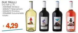 Stop&Shop DUE TRULLI vino IGP offerta