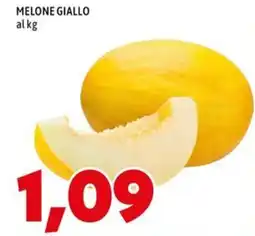 MEGA MELONE GIALLO offerta