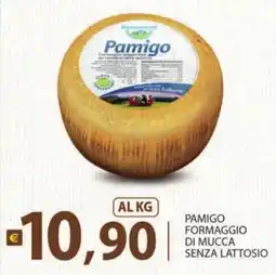 Supermercati Bruscoli Pamigo Formaggio di Mucca Senza Lattosio offerta