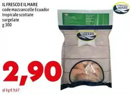 MEGA IL FRESCO E IL MARE mazzancolle Ecuador tropicali scottate offerta