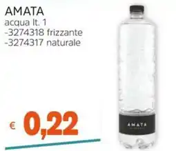 Stop&Shop AMATA acqua offerta