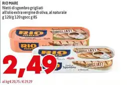 MEGA RIO mare filetti di sgombro grigliati offerta