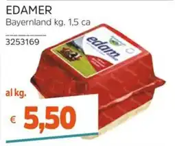 Stop&Shop EDAMER Bayernland offerta