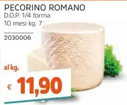 Stop&Shop PECORINO ROMANO offerta