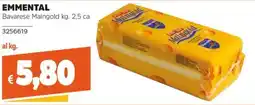 Stop&Shop Emmental Bavarese Maingold offerta