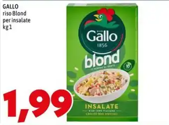 Gallo riso Blond