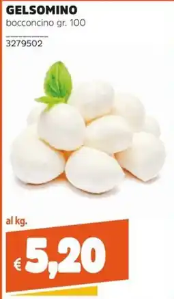 Stop&Shop GELSOMINO bocconcino offerta