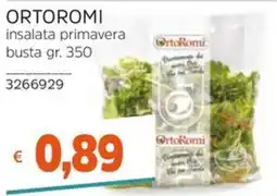 Stop&Shop ORTOROMI insalata primavera offerta