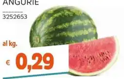Stop&Shop ANGURIE offerta