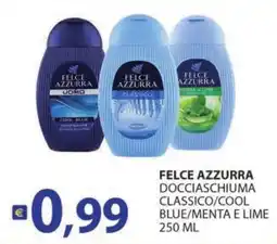 Supermercati Bruscoli Felce Azzurra Docciaschiuma Classico/Cool offerta