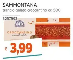 Stop&Shop Sammontana trancio gelato croccantino offerta