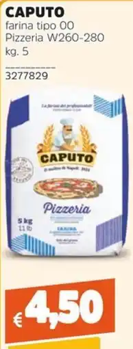 Stop&Shop CAPUTO farina tipo 00 Pizzeria offerta