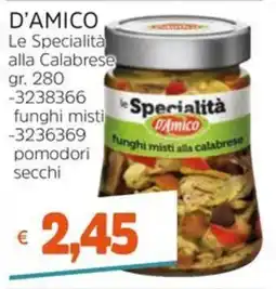 Stop&Shop le Specialità D'Amico funghi misti alla calabrese offerta