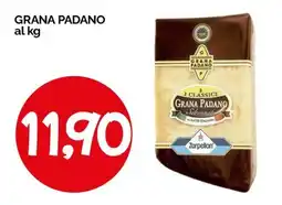 Hardis Grana Padano Zarpellon offerta